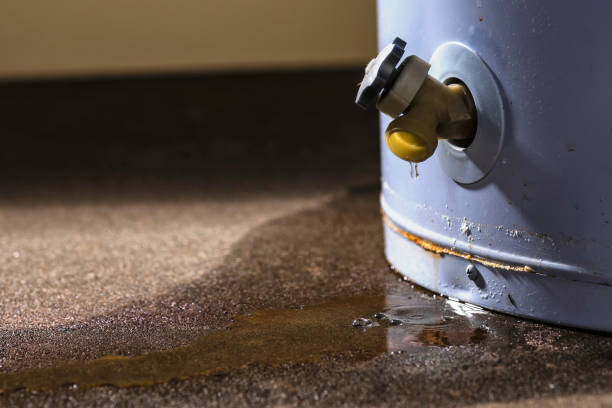  Kenmar, PA Water damage restoration Pros