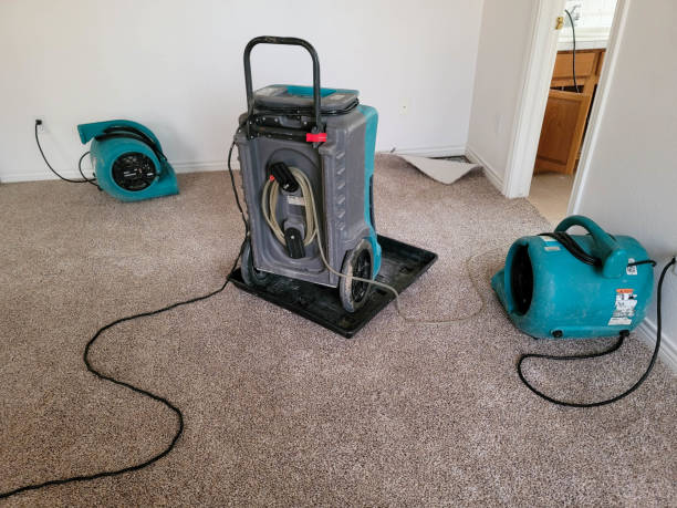Best Flood restoration services  in Kenmar, PA