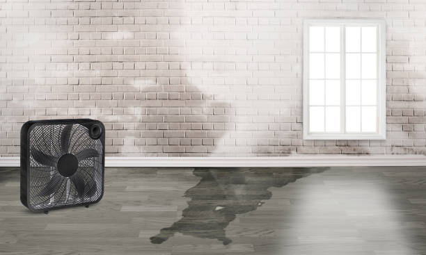 Best Commercial water damage restoration  in Kenmar, PA