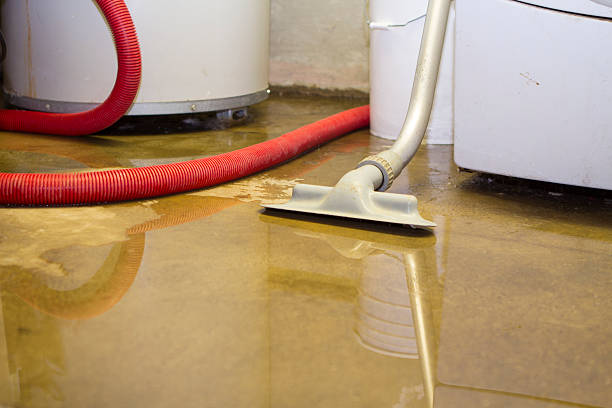 Best Mold removal after water damage  in Kenmar, PA