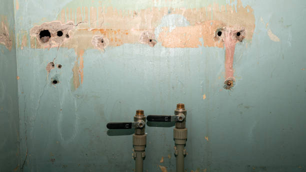 Best Basement water damage restoration  in Kenmar, PA