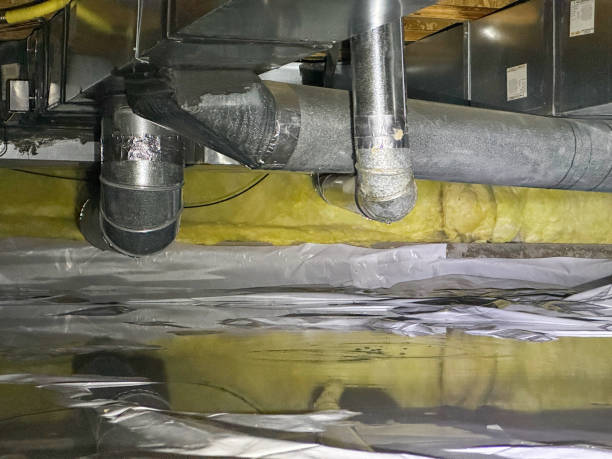 Best Professional water damage repair  in Kenmar, PA